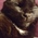 Blackcat 73