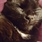 Blackcat 73