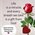Roseonthehill