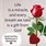 Roseonthehill