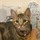 Kitty.cs