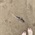 B821565d520