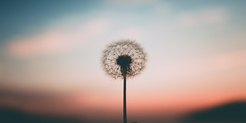 Anxiety and cancer - support from Macmillan's Online Community