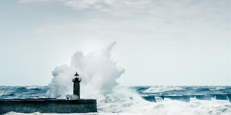 A lighthouse in someone’s storm- Being an Online Community Champion