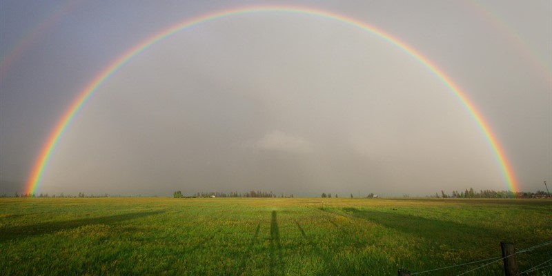 “Take a deep breath and remain anchored in hope.”- February wellbeing roundup