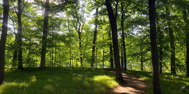 Life after treatment: Dealing with health conditions after cancer