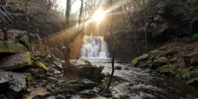 Supporting men with breast cancer in the Online Community