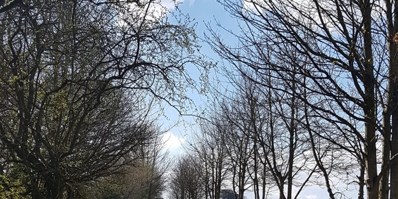 Let's talk about cancer and hair loss