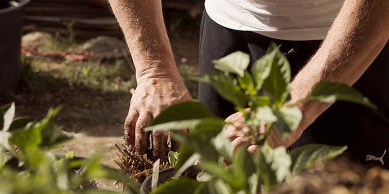 Look out for our improvements