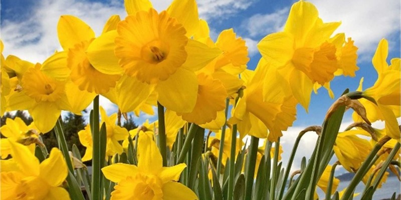 "Finding my new normal"- Jane's story