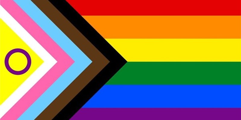 LGBTQIA+ support and safety on the Online Community