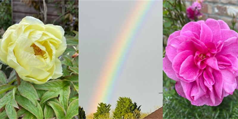 Dealing with Fear and Anxiety during Cancer Treatment