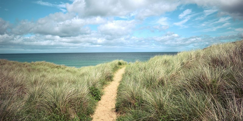 Newly diagnosed with cancer? Advice from Macmillan’s Online Community