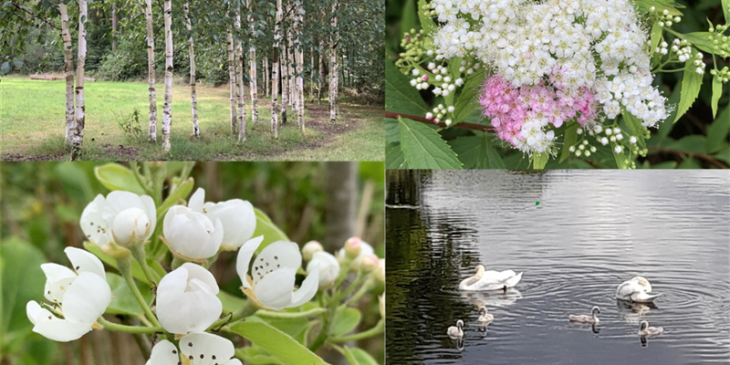 Approaching Autumn - Celebrating the Online Community Seasonal Picture Festivals