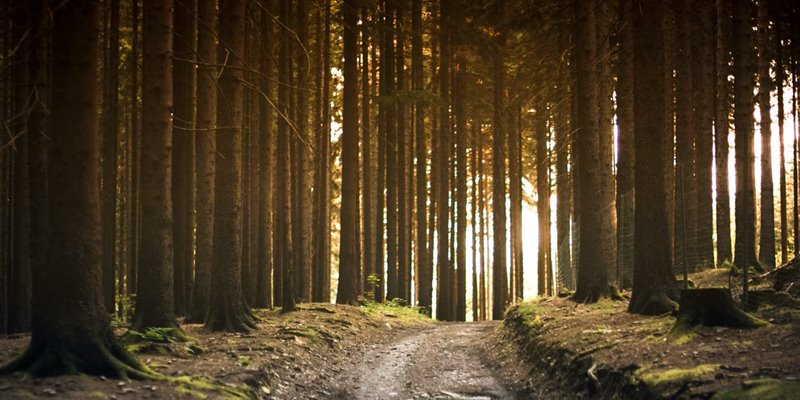 Life after cancer: Navigating unique challenges with people who understand