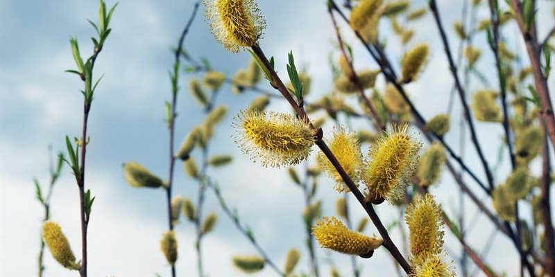 Finding cancer support over the Easter bank holiday weekend