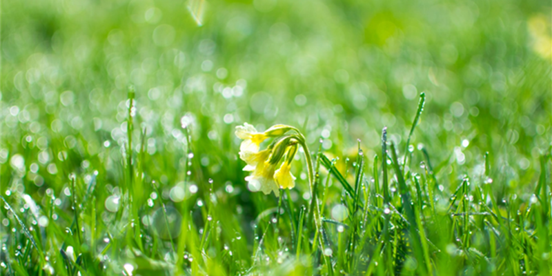 Prostate Cancer - How does our Community help?