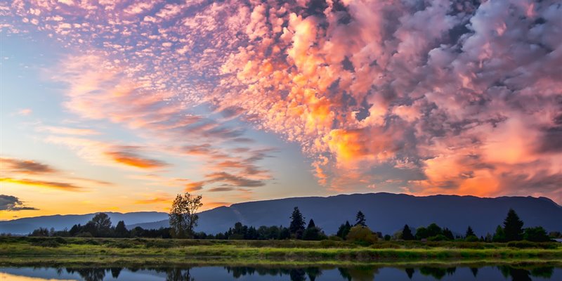 Reflection: Looking back