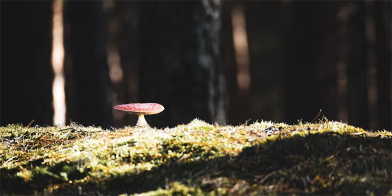 Toxic positivity and cancer: why listening matters