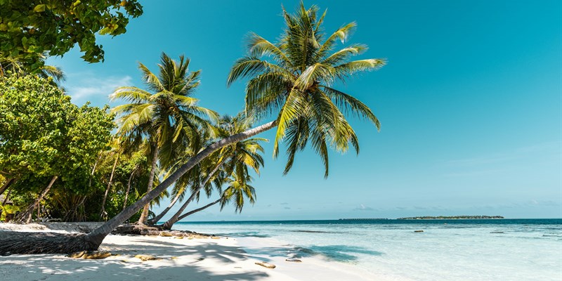 Travel Insurance and Cancer - your questions answered by an expert