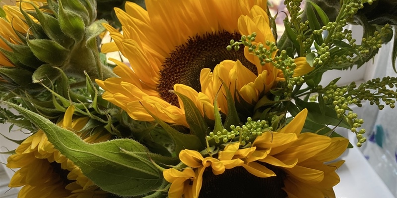 The cancer has gone…..what's next?