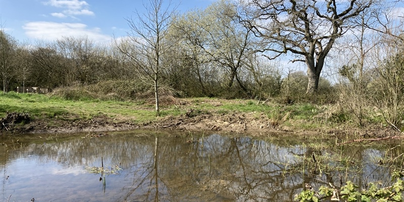 A Sense of Normality