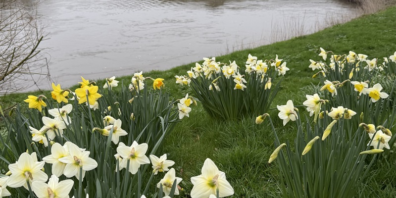 It never really goes away