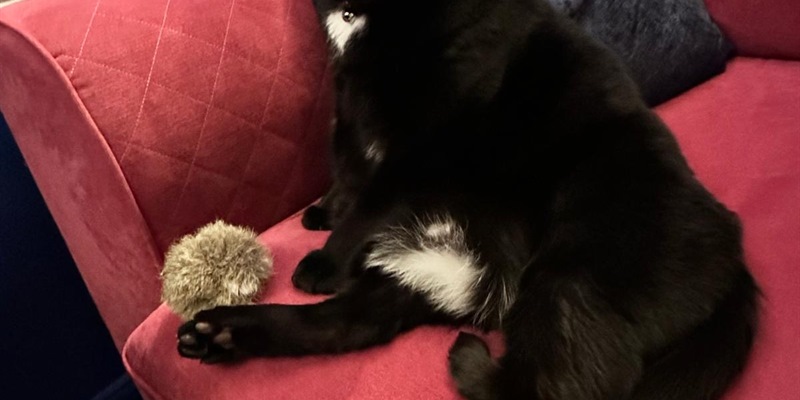 Post 361: An email and phone call that makes me happy.