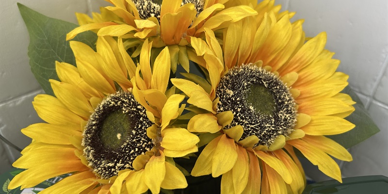 Post 470: I can’t sleep, stop eating nor watching K-Dramas.