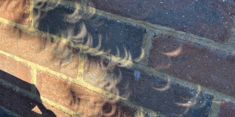 Post 481: A million little eclipses hanging on the wall.
