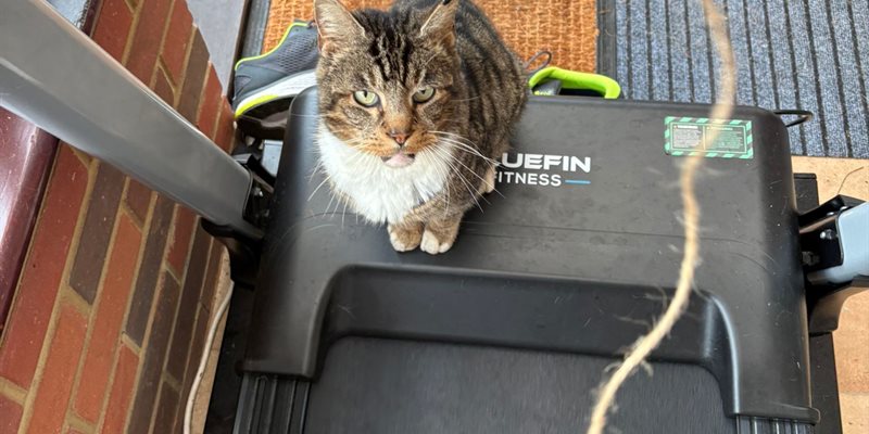 Post 299: I’m getting excited for the holiday.