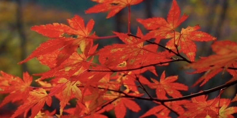 Post 153: Warm welcomes and angry goodbyes.