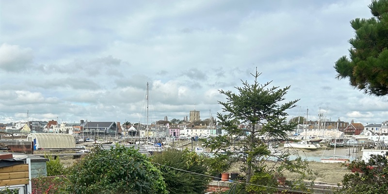 Post 212: Spring bulbs and clever stockings.