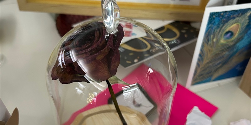 Post 195: It’s my Darlings Birthday and We Need Some Food.