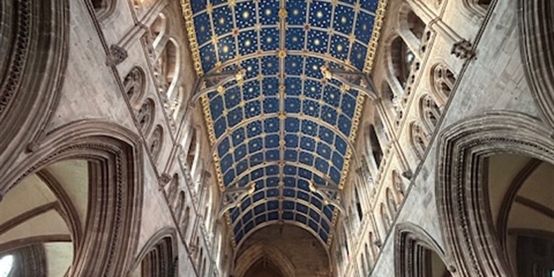 Post 204: Why is there so much pain.