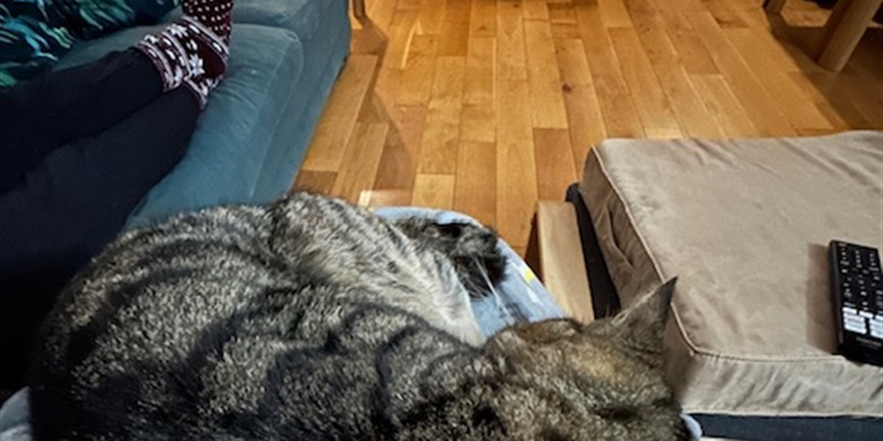 Post 206: Blood test failures and unnecessary worries.