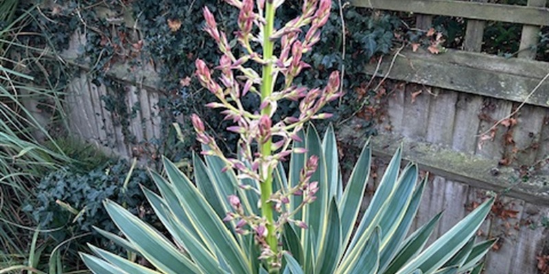 Post 208: What happens tomorrow?