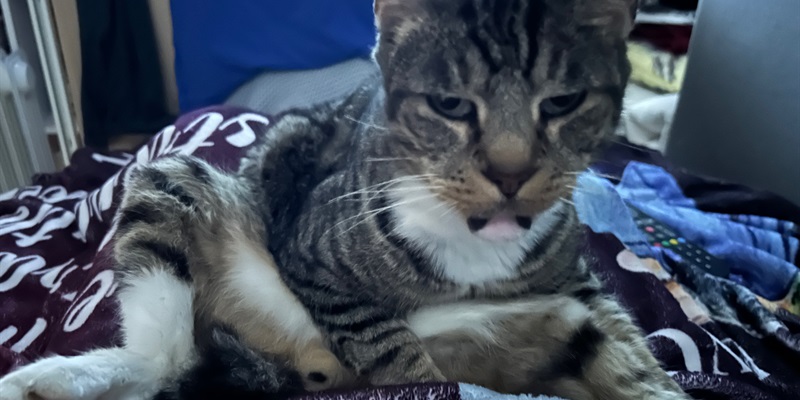 Post 216: A Busy Day and happy tears.