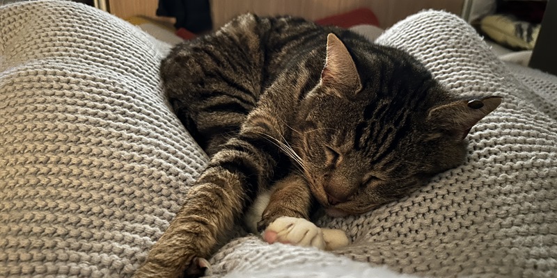 Post 229: The last post or the last bus; either way .