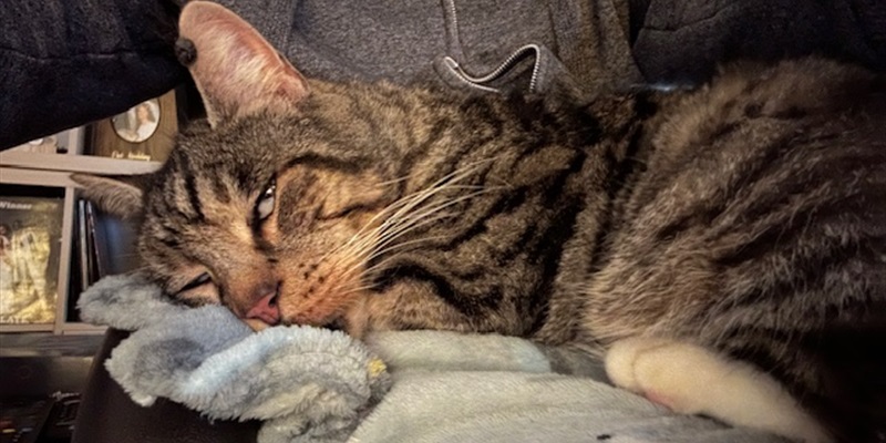 Post 246: I love you all.