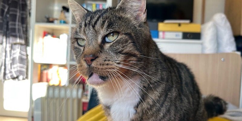 Post 259: New Year: thinking ahead positively.