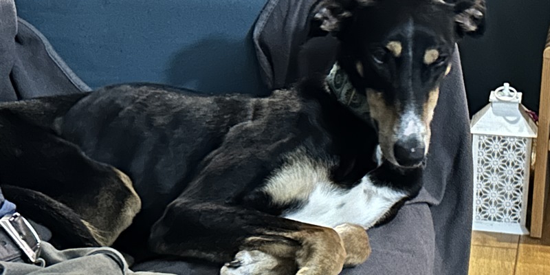 Post 268: Emotions and aches.