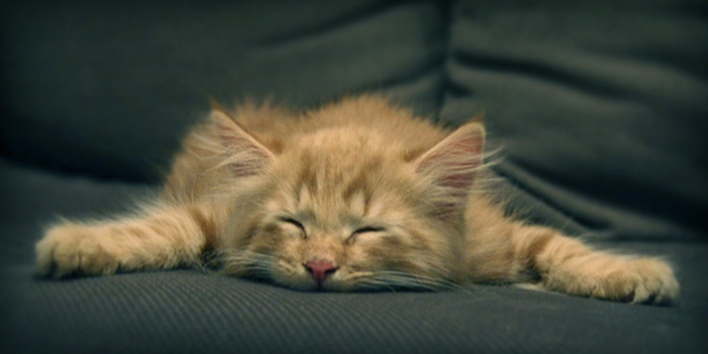 Post 269: Too tired to sleep.