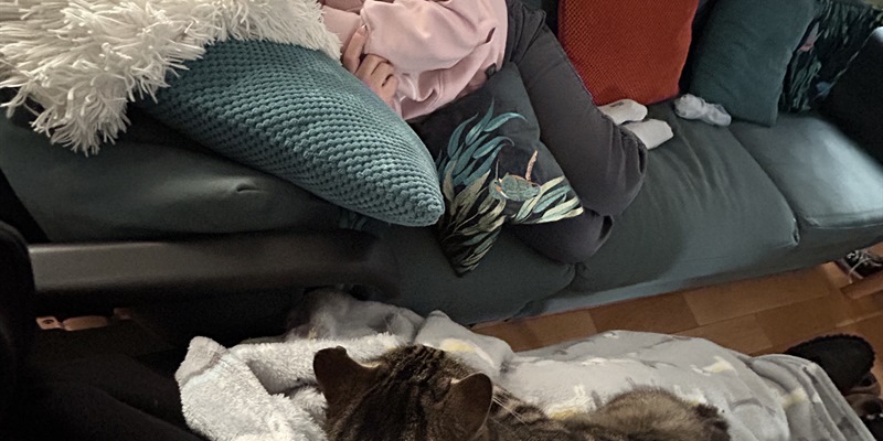 Post 278: A Palace quote and MPR.