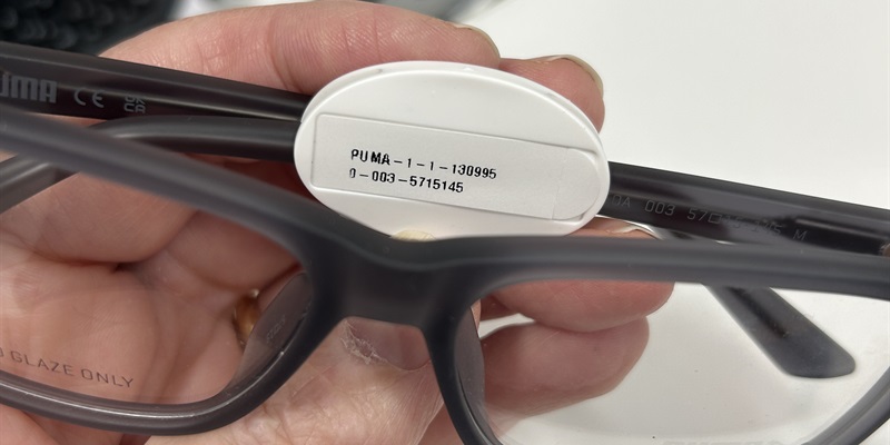 Post 281: Honesty, dozing and a cheese and onion panini.