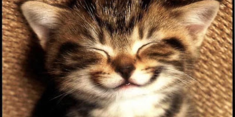 Post 285: Doc tomorrow, should I stop HT?