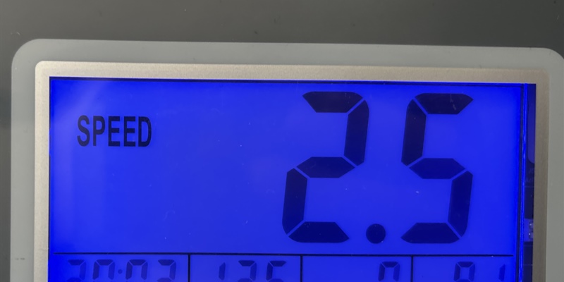 Post 288: Treadmill, back pain and a beautiful Prom dress.