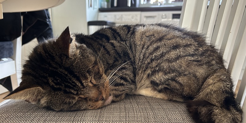 Post 300: Sleeping well and more self advocacy.