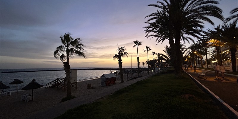 Post 316: Neck and head pain takes over from a great day.