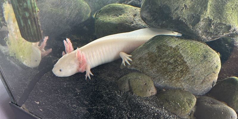 Post 315: I’m back already, but for how long?